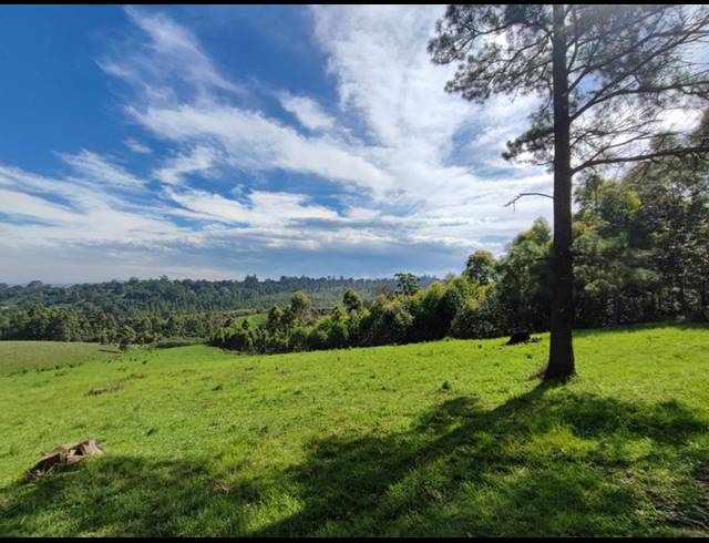 LAND FOR SALE IN WINTERSKLOOF